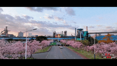 4b567bc216daad9c1cad80c05d98c427_640_wx_fmt=gif&amp;from=appmsg&amp;wxfrom=5&amp;wx_lazy=1&amp;wx_co=1.gif